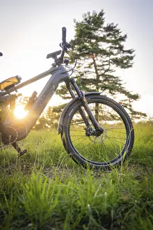 Evening Forest Atmosphere Drucke: A bicycle stands in the forest during a sunset