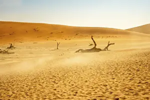 Gerahmter Druck : Big Daddy Dune und Deadvlei Gerahmter Druck : Big Daddy Dune und Deadvlei