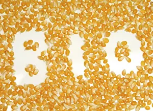 Organic Farming Drucke: BIO writing with maize kernels