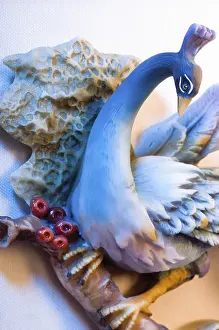 Natural Environment Animal Photography Drucke: Bird on canvas