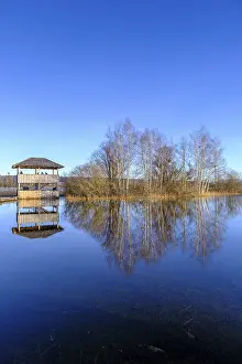 Birdwatching Tower Drucke: Birdwatching tower, observation tower