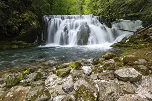 Drucke von Bistrica Bach mit Wasserfall, Bohinjska Bistrica, Triglav-Nationalpark, Slowenien Slowenien Drucke: Bistrica-Fluss mit Wasserfall