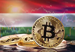 Bitcoin Symbolic Picture Drucke: Bitcoin with Hungary flag in the background