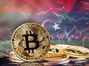 Online Payment Transaction System Drucke: Bitcoin with Libyan flag in the background