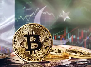 Emerging Economy Blockchain Tech Drucke: Bitcoin with Pakistani flag in the background
