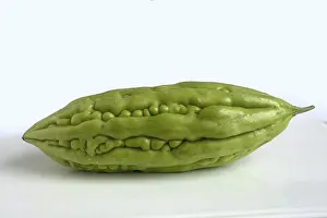 Deserted Fruit Drucke: Bitter cucumber