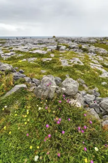 Deserted Coastline Photography Drucke: Bizarrely shaped limestone slabs