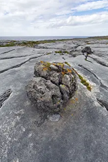 Wild Atlantic Way Scenery Drucke: Bizarrely shaped limestone slabs