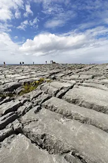 Wild Atlantic Way Scenery Drucke: Bizarrely shaped limestone slabs