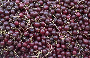 Sweet Cherry Drucke: Black cherries