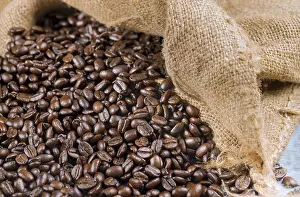 Hipposideridae Drucke: Schwarze Kaffeebohnen in einem Beutel. Nahaufnahme.