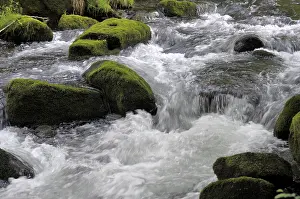 Deserted River Landscape Drucke: Black Forest Stream, Eyach