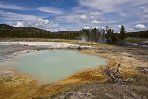Yellowstone National Park Drucke: Black Opal Spring, Biscuit Basin