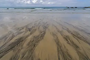 Deserted Cornish Coast Drucke: Black patterns and lines on the sand on the beach in St