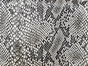 Studio Photography With Plain Background Drucke: Black and white background in snake pattern style