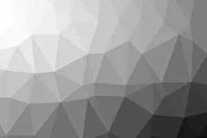 Symbolic Black And White Picture Drucke: Black and White Low Polygon Random Triangle Abstract