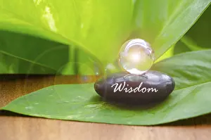 Green Leaf Background Drucke: Black Zen stone on green leaf with customizable space for text or message