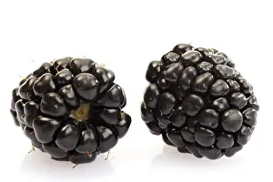 Studio Shot Of Berries Drucke: Two blackberries
