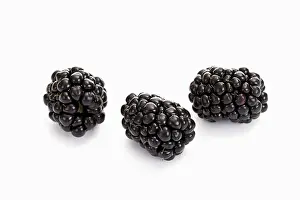 Blackberry Nutrition Drucke: Three blackberries