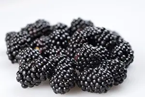 Blackberry Nutrition Drucke: Blackberries (Rubus sectio Rubus)