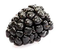European Blueberry Drucke: Blackberry