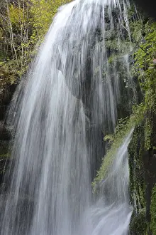 Elbe Sandstone Mountains Landscape Drucke: Blackbird fall, waterfall, stream