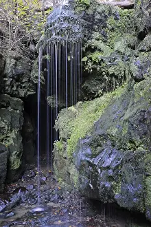 Elbe Sandstone Mountains Scenery Drucke: Blackbird fall, waterfall, stream