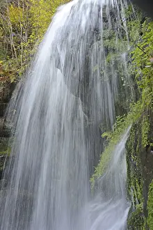 Elbe Sandstone Mountains Landscape Drucke: Blackbird fall, waterfall, stream