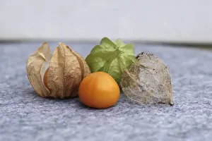 Cape Gooseberry Drucke: Bladder cherry (phyalis), husk