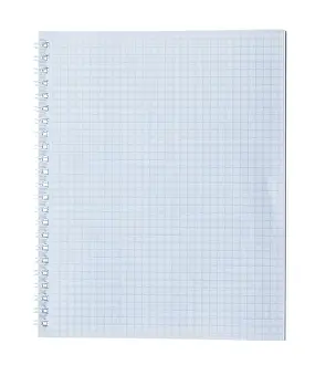 Stationery Supplies Drucke: Blank chequered notepad against a white background