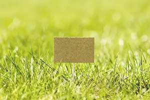 Deserted Grass Landscape Drucke: Blank mini paper pointer in a green grass