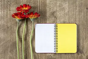 Copy Space With Flowers Drucke: Blank notebook and three gerberas on the wooden table