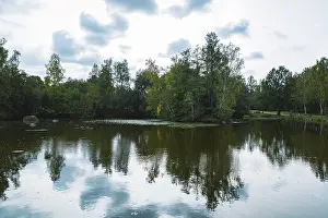 Mirror Like Lake Surface Drucke: Blockheide lake with reflection