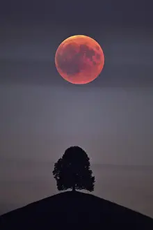 Lunar Eclipse In Europe Drucke: Bloodmoon, total lunar eclipse