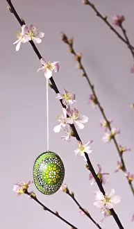 Peach Tree In Vase Drucke: Blooming branches of a peach tree in a vase decorated with Easter egg