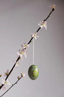 Peach Tree In Vase Drucke: Blooming branches of a peach tree in a vase decorated with Easter egg