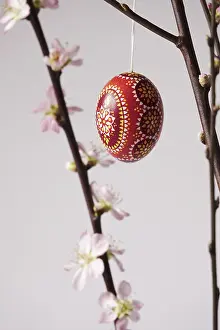 Central Europe Spring Scene Drucke: Blooming branches of a peach tree in a vase decorated with Easter egg