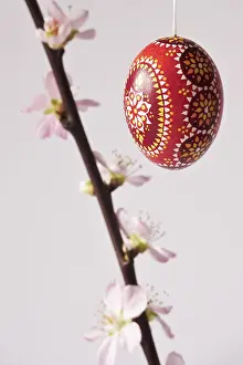 Ornate Easter Decorations Drucke: Blooming branches of a peach tree in a vase decorated with Easter egg