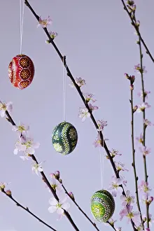 Easter Egg Vase Drucke: Blooming branches of a peach tree in a vase decorated with Easter eggs