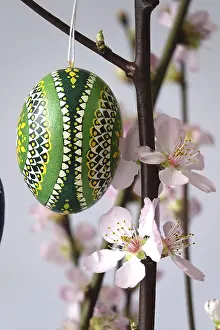 Deciduous Tree Branches Drucke: Blooming branches of a peach tree in a vase decorated with Easter eggs