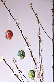 Easter Egg Vase Drucke: Blooming branches of a peach tree in a vase decorated with Easter eggs