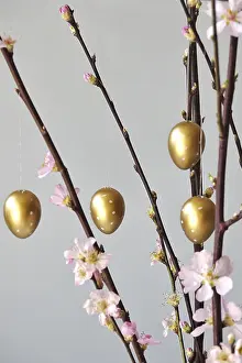 Easter Egg Vase Drucke: Blooming branches of a peach tree in a vase decorated with Easter eggs