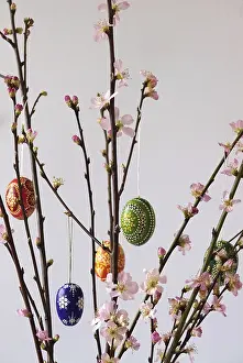 Decorative Peach Branches Drucke: Blooming branches of a peach tree in a vase decorated with Easter eggs