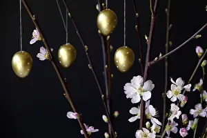 Deciduous Tree Branches Drucke: Blooming branches of a peach tree in a vase decorated with Easter eggs