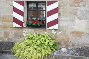 Uninhabited Bavarian Landscape Drucke: Blooming hosta in front of a window