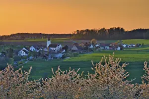 Village View Switzerland Drucke: Blossoming cherry trees in the evening