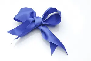 High Angle View Drucke: Blue bow