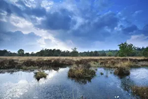 Overcast Sky With Cloud Reflection Drucke: Blue cloudscape over wild swamp