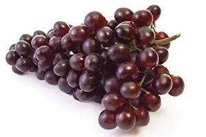 Blue Grapes Drucke: Blue grapes