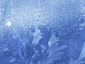 Deserted Winter Scene Drucke: Blue ice pattern on winter glass texture